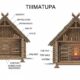 Exploring the World of tiimatuvat: A Comprehensive Guide