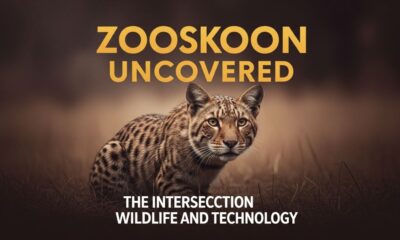 Zooskoon represents a pivotal shift in how we view and interact with wildlife. By merging technology with conservation, it has opened new avenues for protecting endangered species and educating the public