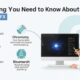 Everything You Need to Know About ChromiumFX