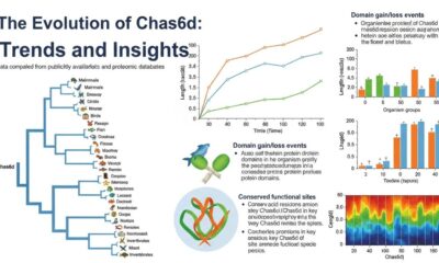 The Evolution of Chas6d: Trends and Insights