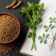 Foenegriek: The Ancient Spice with Modern Benefits
