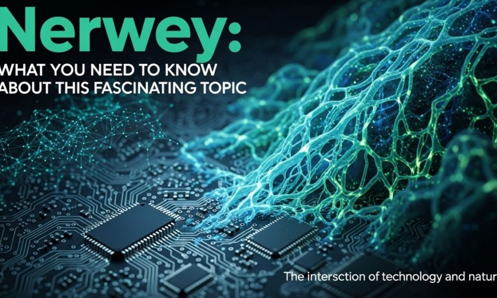 Nerwey: What You Need to Know About This Fascinating Topic