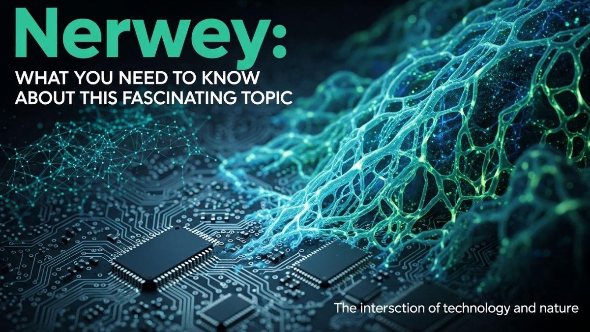 Nerwey: What You Need to Know About This Fascinating Topic