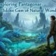 Exploring Pantagonar: The Hidden Gem of Natural Wonders