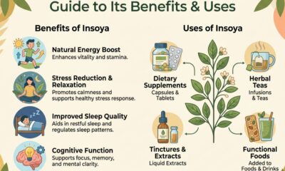 Insoya: A Comprehensive Guide to Its Benefits and Uses