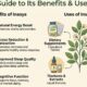 Insoya: A Comprehensive Guide to Its Benefits and Uses